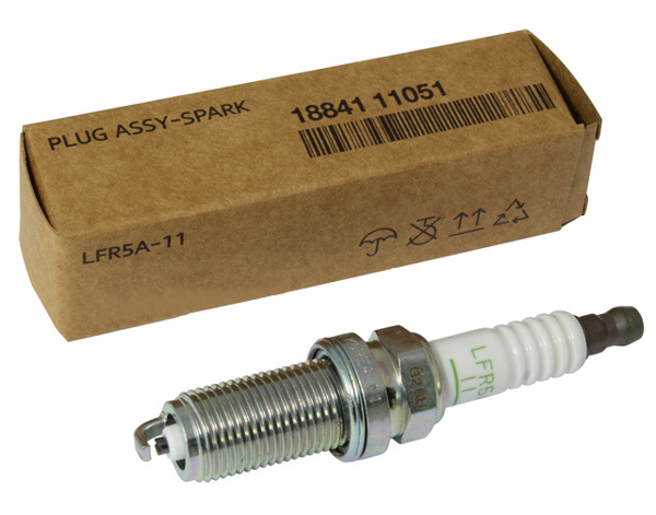 PLUG ASSY-SPARK
