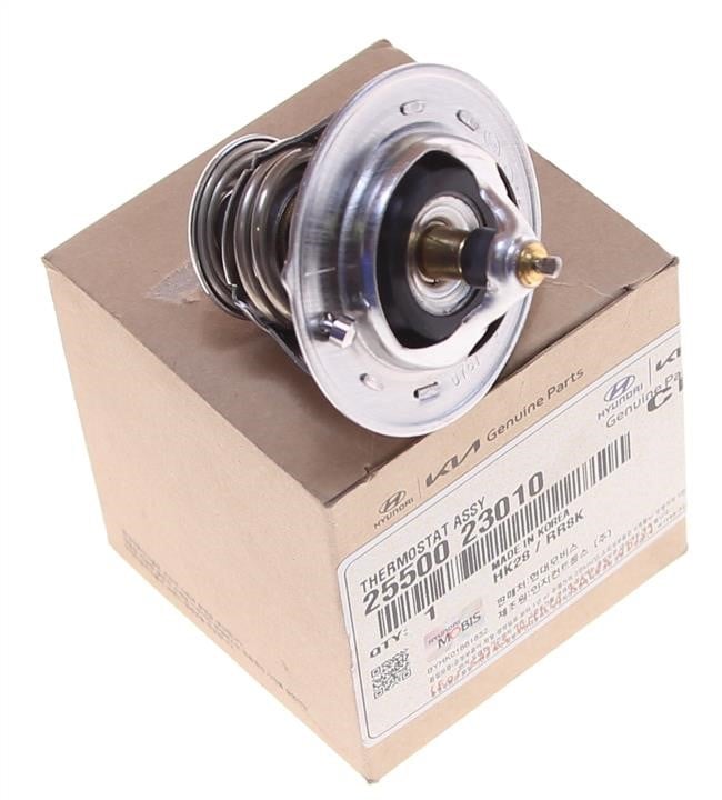 THERMOSTAT ASSY