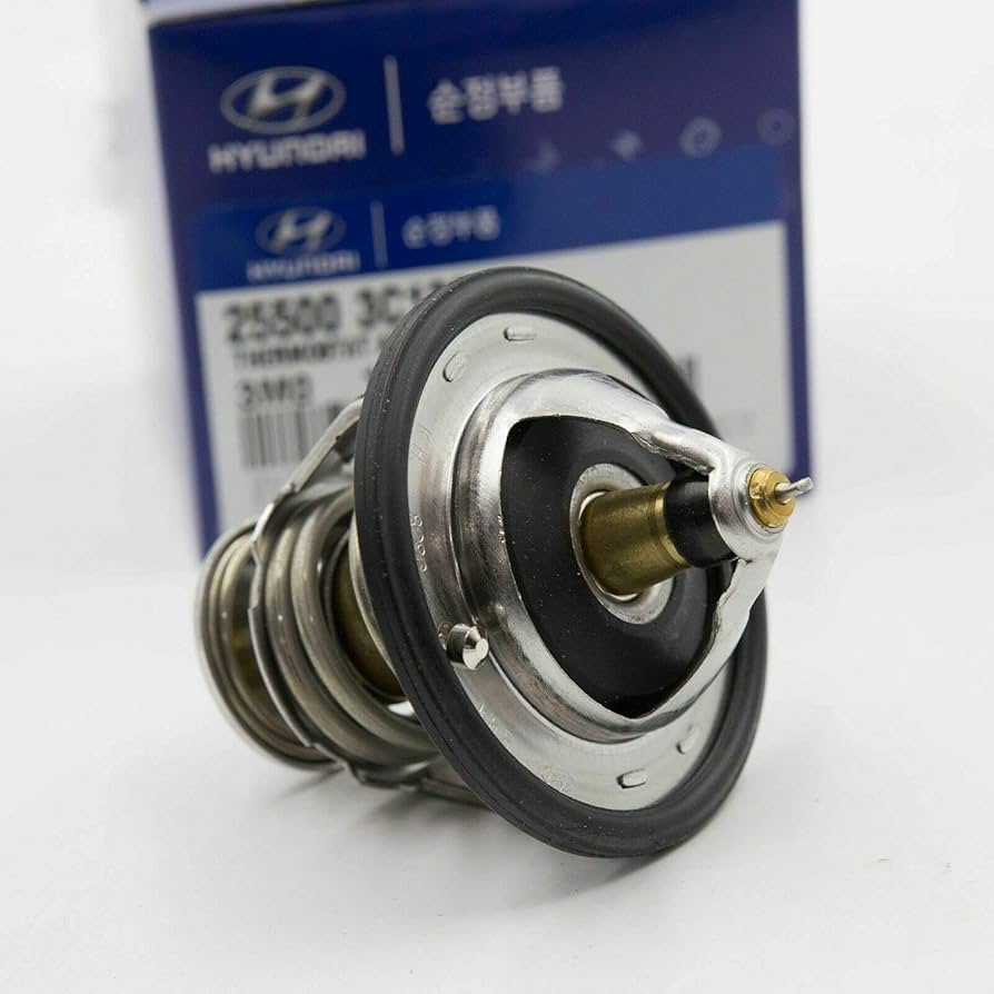THERMOSTAT ASSY