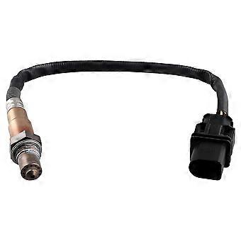 SENSOR OXGEN
