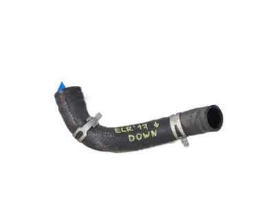 HOSE ASSY-RADAATOR,LWR