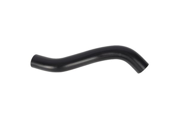 HOSE-RADIATOR UPR with clump