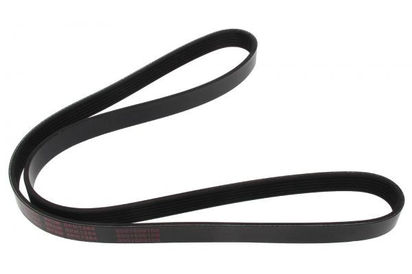 RIBBED BELT-V